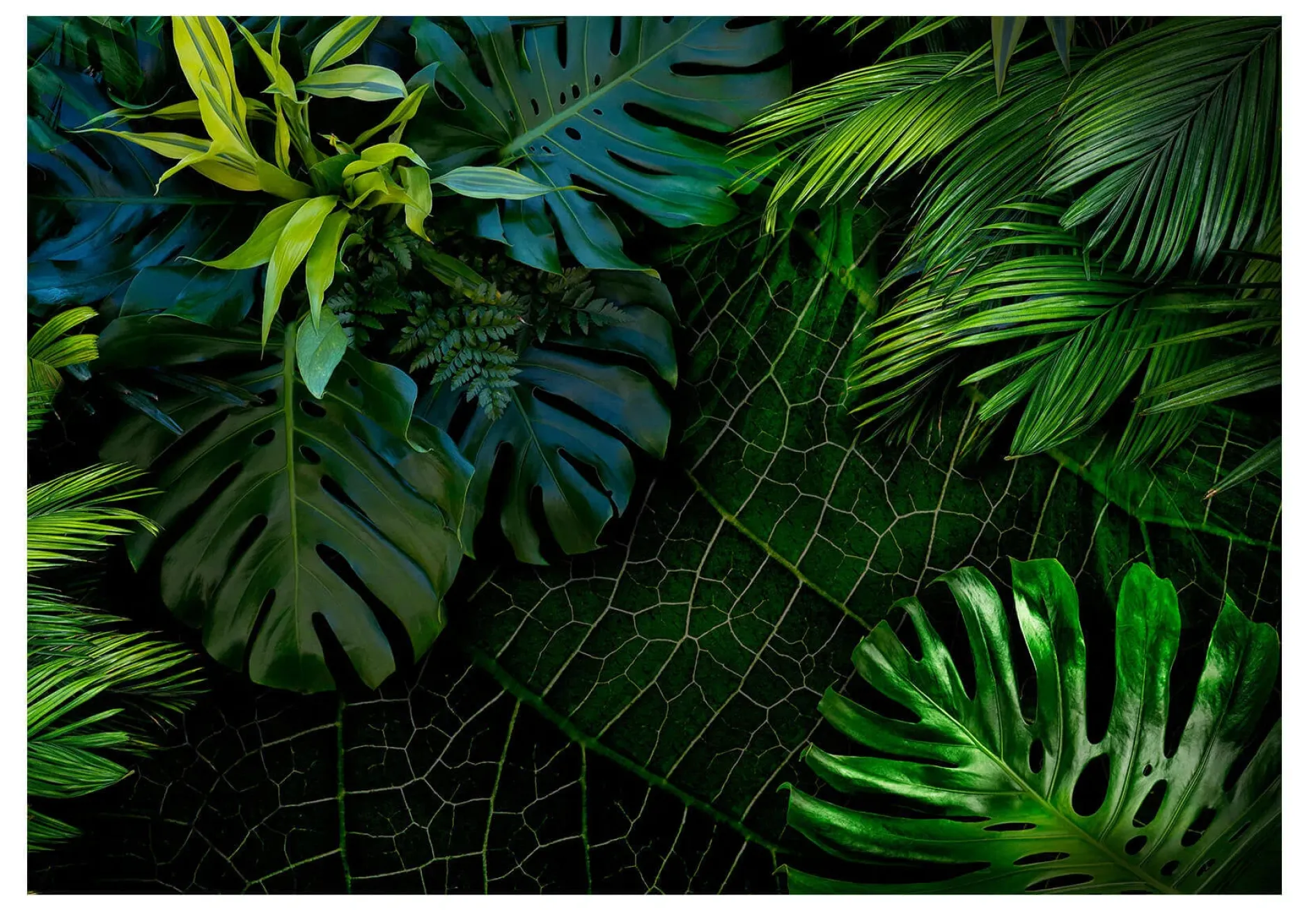 Selbstklebende Tapete 'Tropical Symphony'