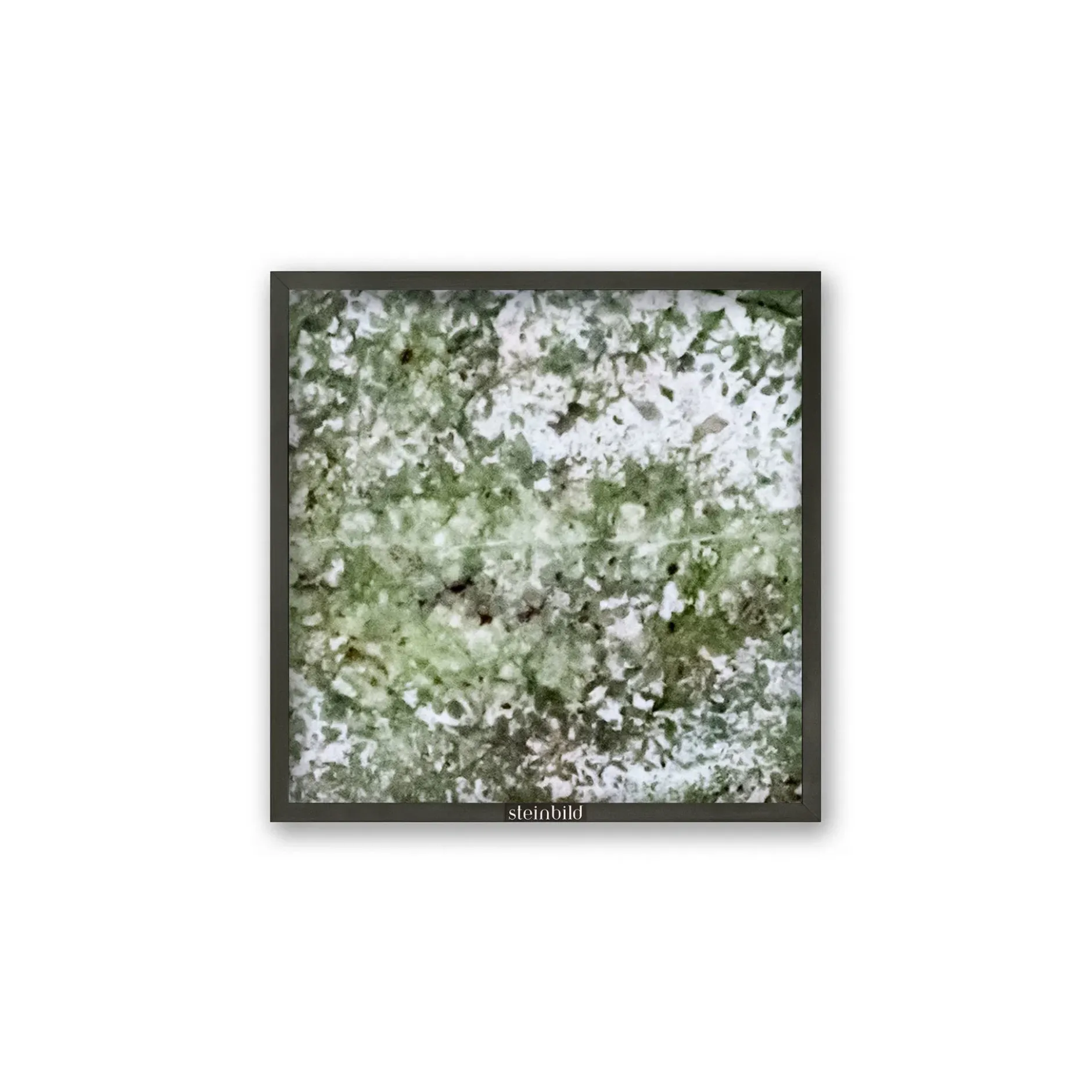 Steinbild 'Essential Line Robinia'