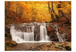 Tapete 'Autumn landscape : waterfall in forest'