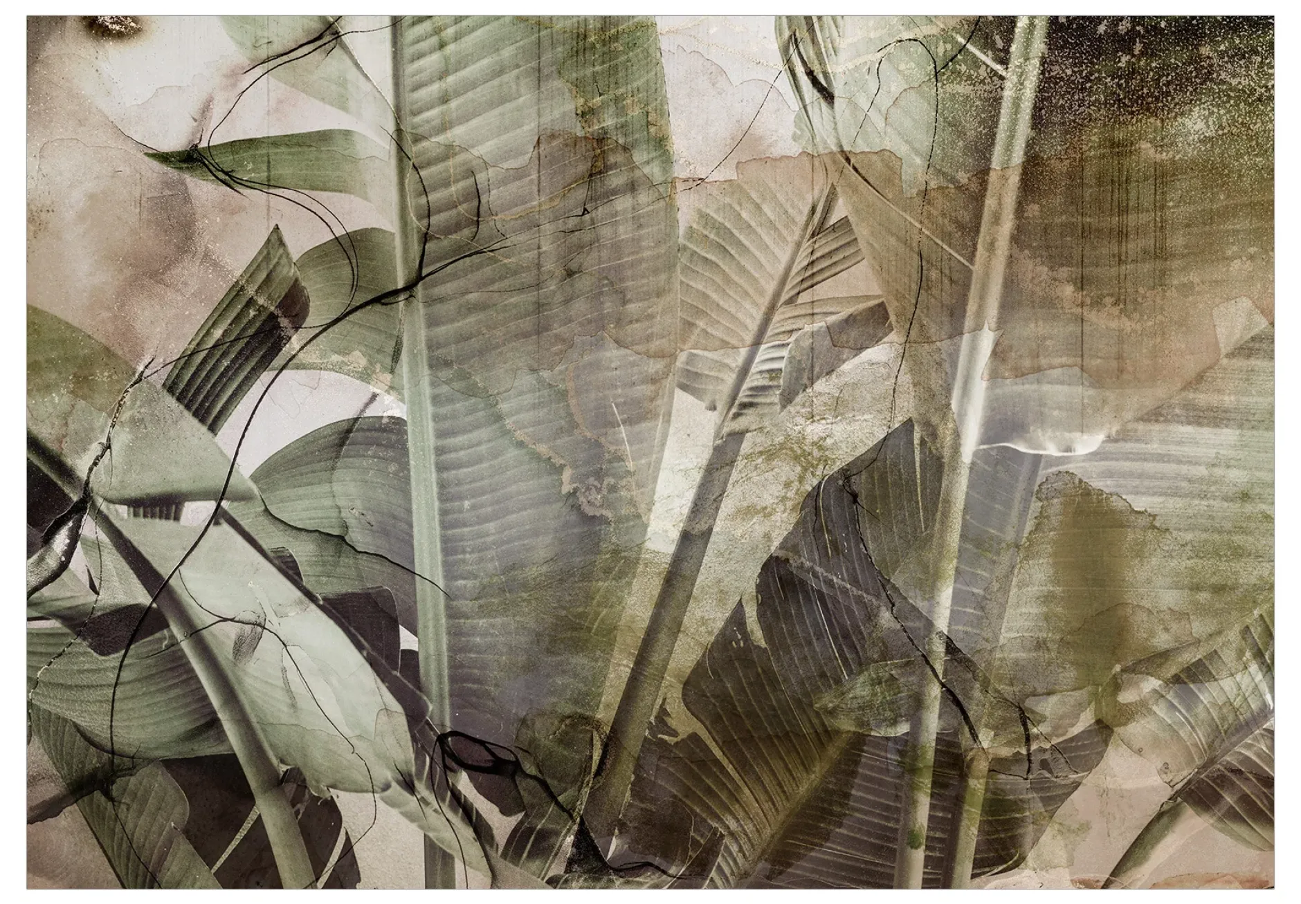 Tapete 'Banana Jungle'