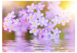 Tapete 'Beauty on the Pond'