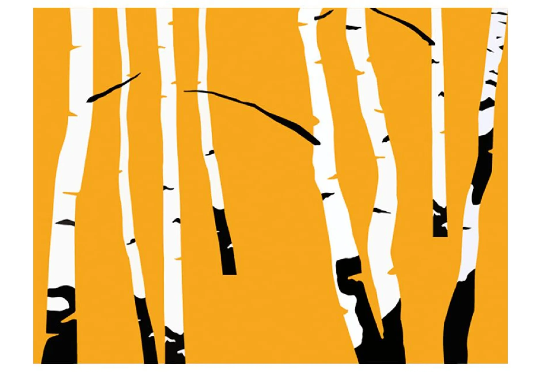 Tapete 'Birches on the orange background'