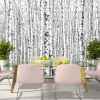Tapete 'Birch forest'