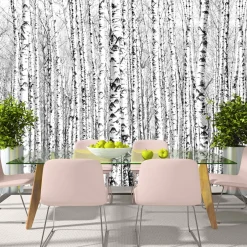 Tapete 'Birch forest'