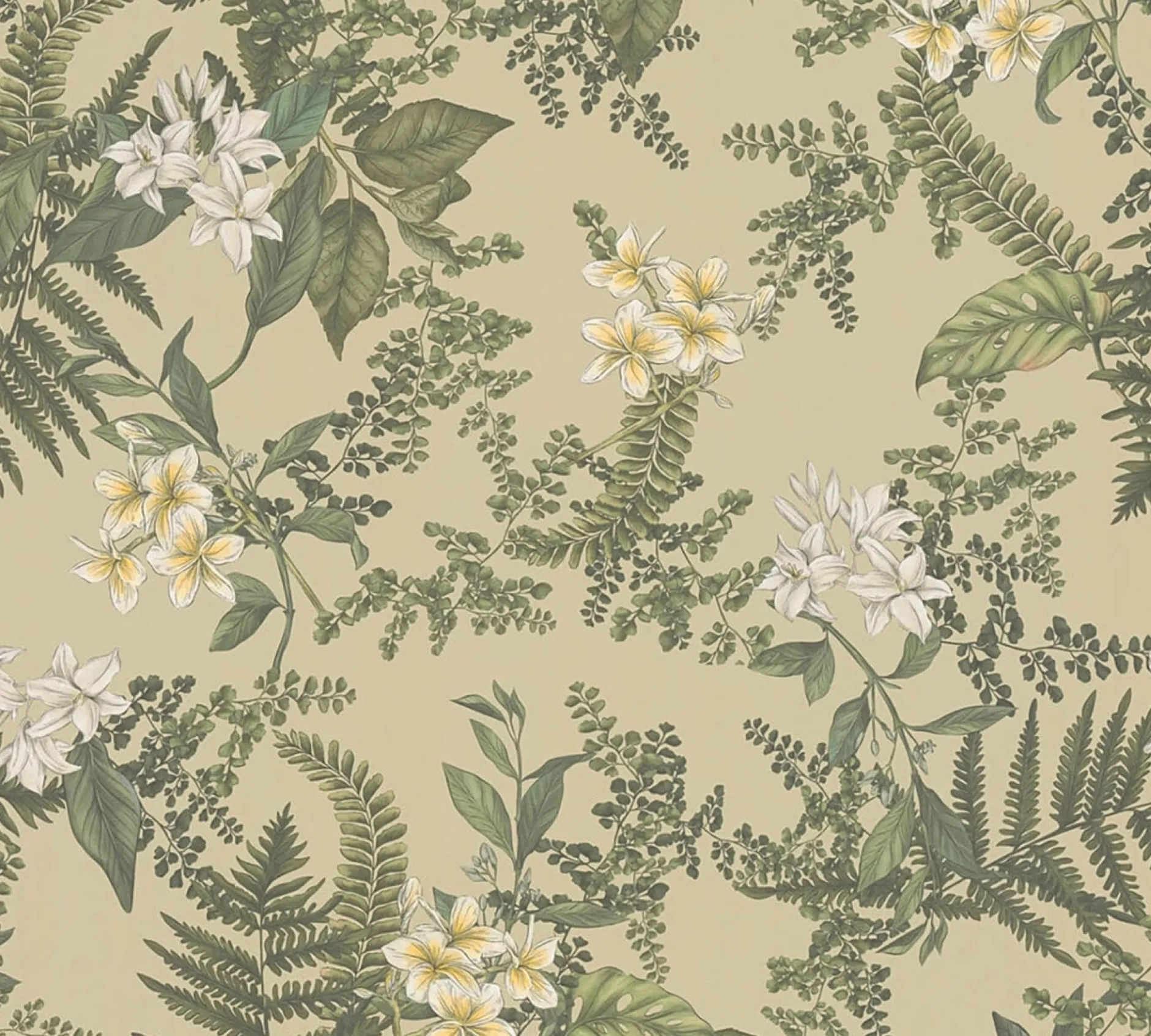 Tapete 'Blossom Ballet'