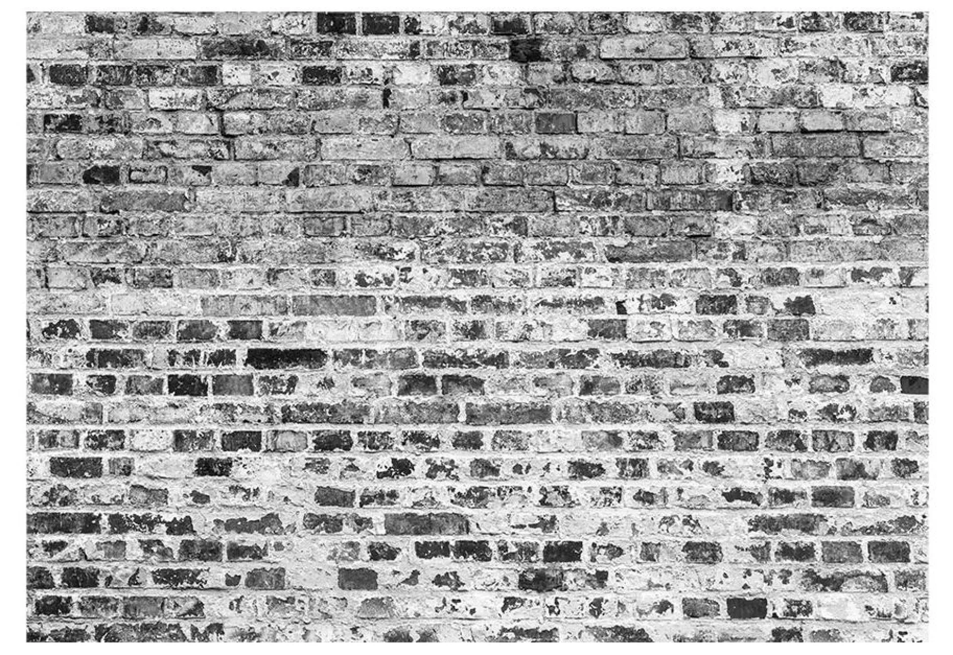 Tapete 'Border of Greynesses'