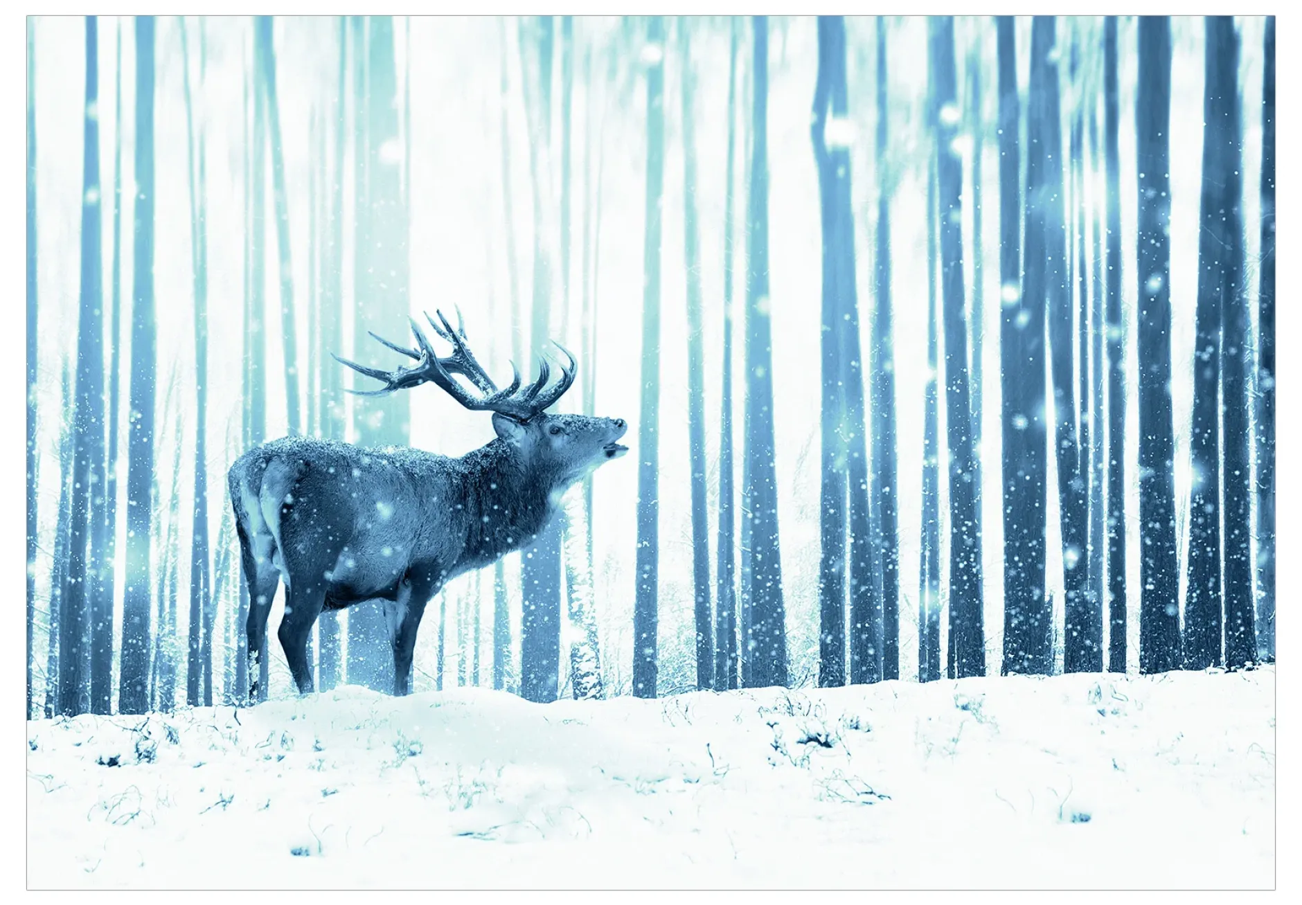 Tapete 'Deer in the Snow (Blue)'