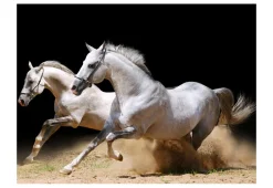 Tapete 'Ein Galopp im Sand'
