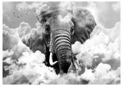 Tapete 'Elephant in the Clouds (Black and White)'