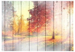 Tapete 'Fall Sunrays'