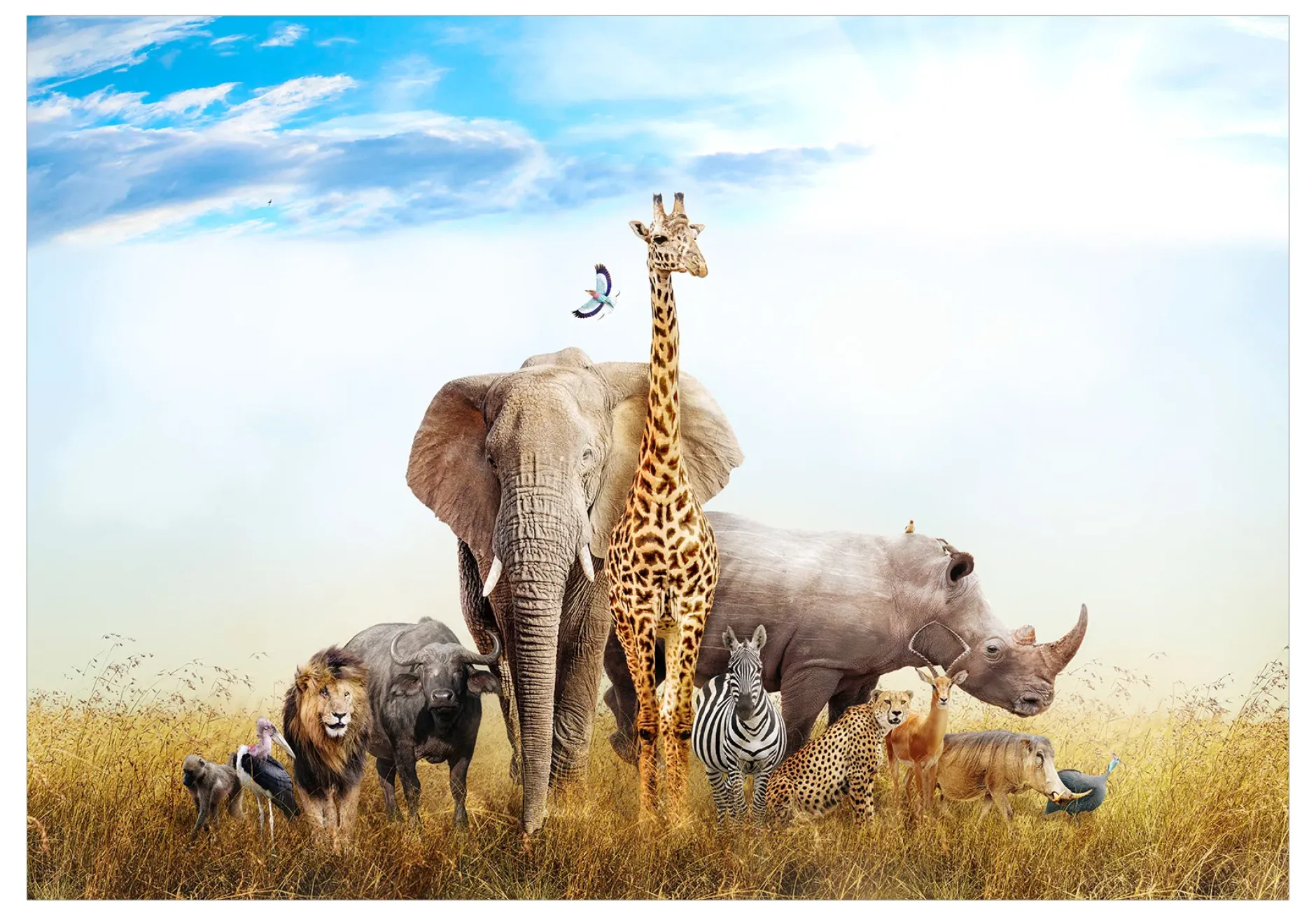 Tapete 'Fauna of Africa'