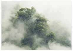 Tapete 'Foggy Amazon'