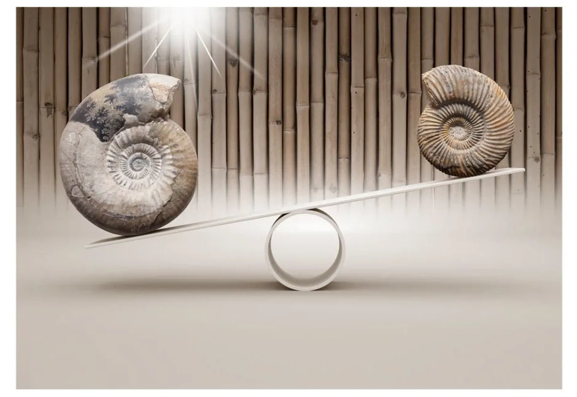 Tapete 'Fun with Fossils'