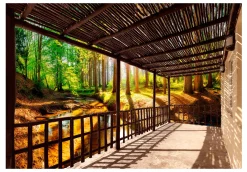 Tapete 'Getting Back to Nature'