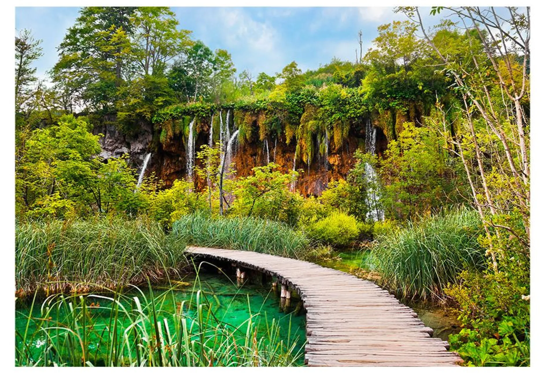 Tapete 'Green oasis'