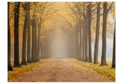 Tapete 'Journey to the unknown'