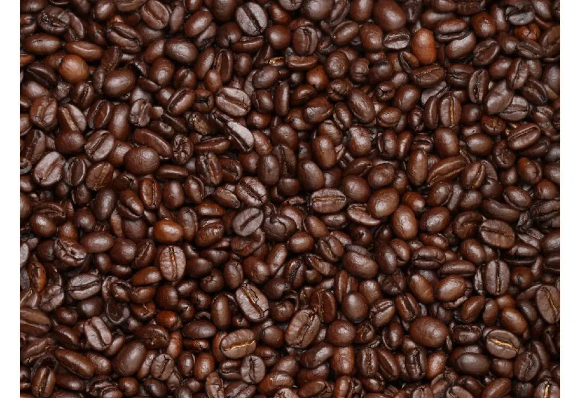 Tapete 'Kaffeebohnen'