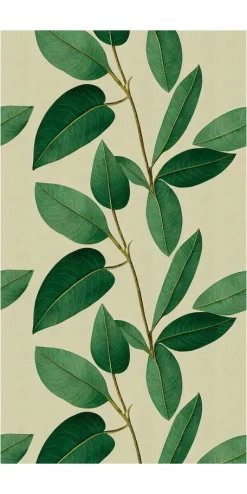 Tapete 'Leafy Elegance' 159x280cm