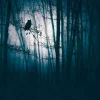 Tapete 'Midnight Woods' 371x280cm