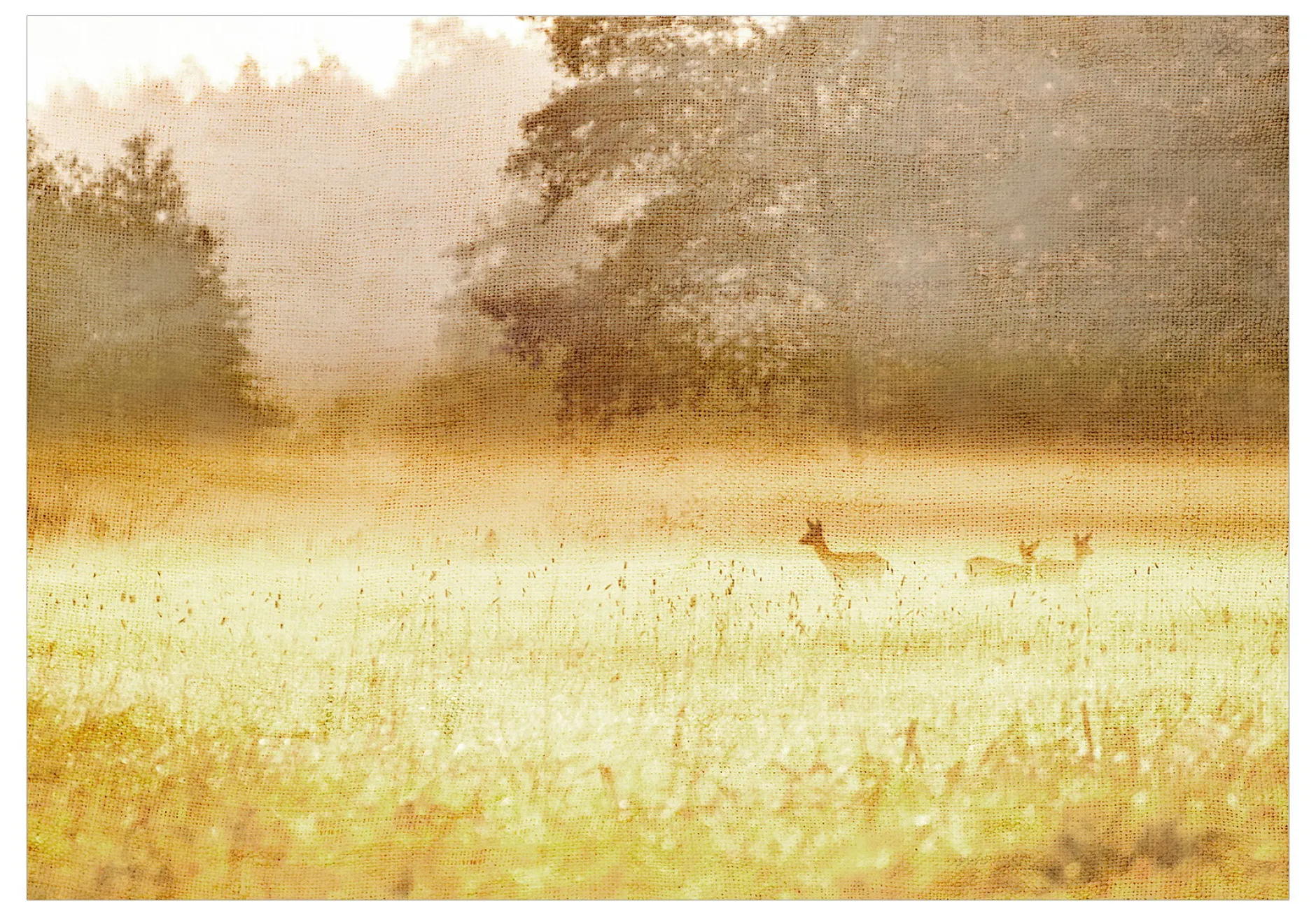 Tapete 'Morning Dew'