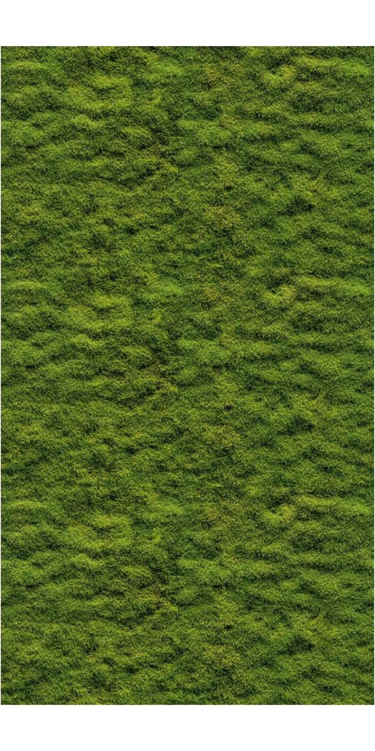 Tapete 'Mossy Texture' 159x280cm