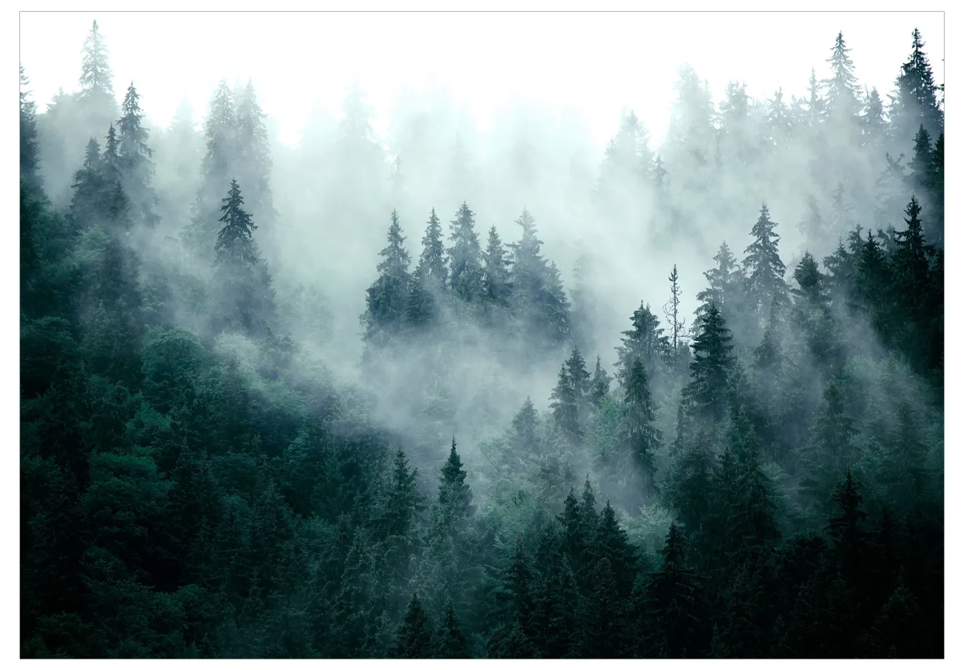 Tapete 'Mountain Forest (Dark Green)'