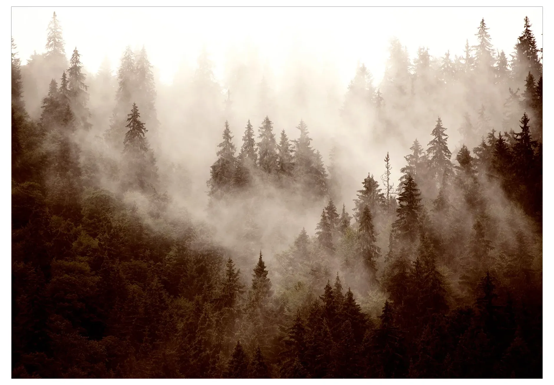 Tapete 'Mountain Forest (Sepia)'