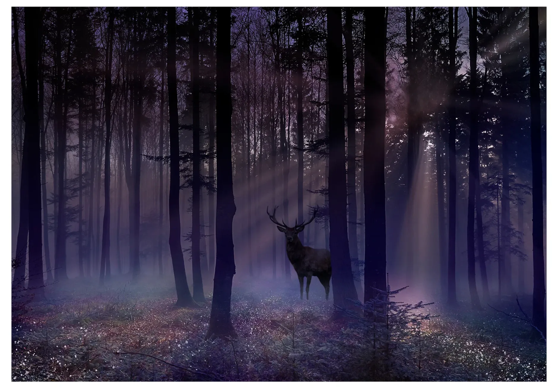 Tapete 'Mystical Forest - Second Variant'