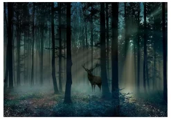 Tapete 'Mystical Forest - Third Variant'