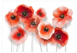 Tapete 'Nine poppies'