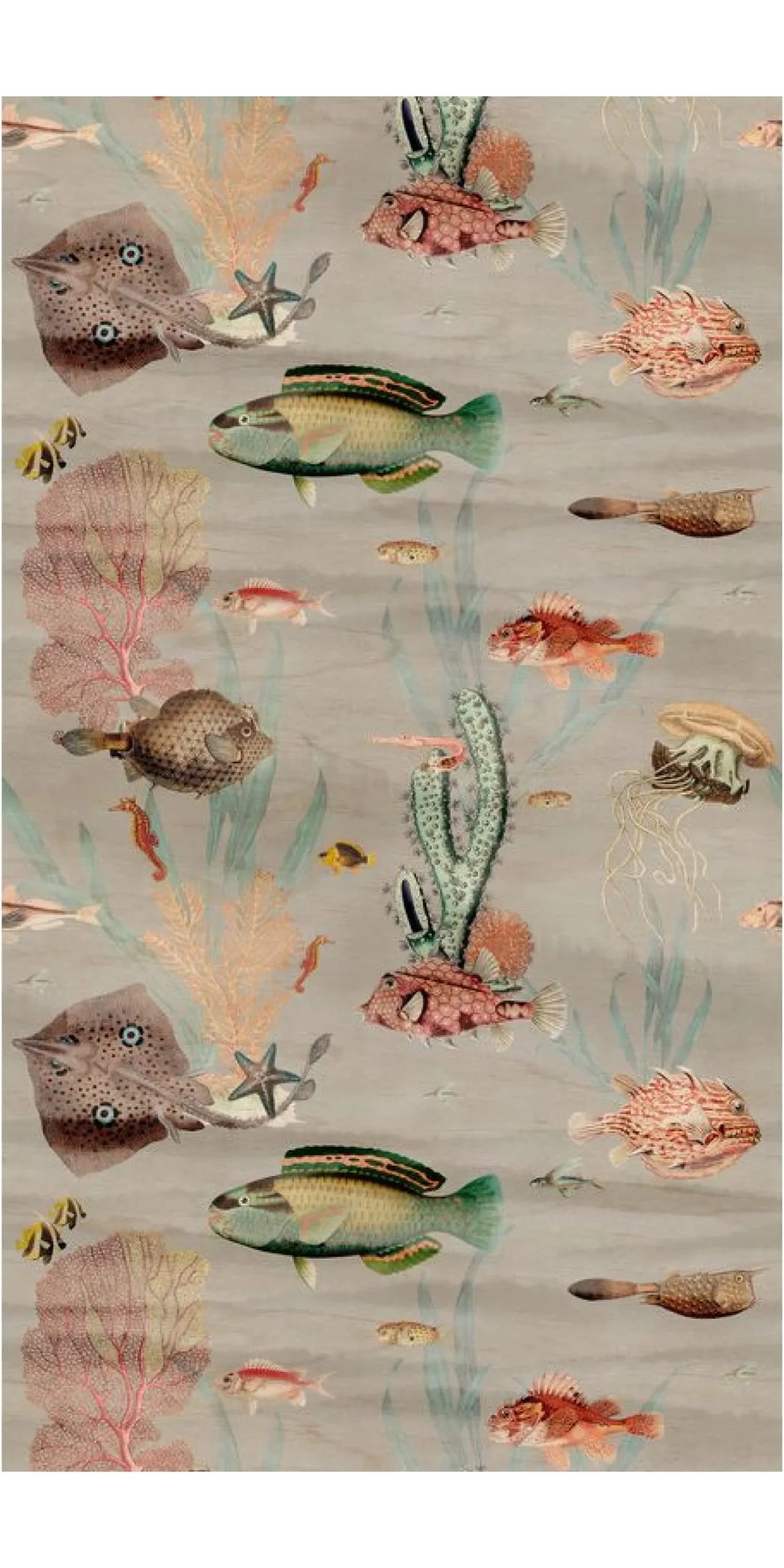 Tapete 'Ocean Wonders' 159x280cm