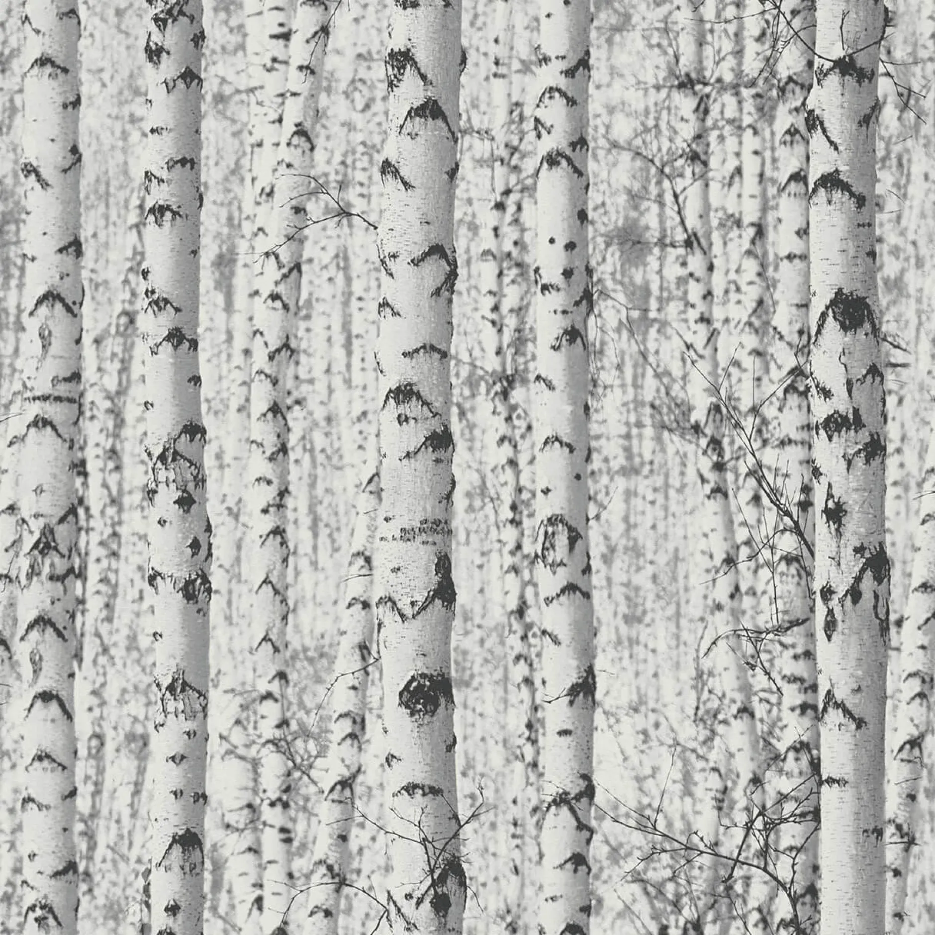 Tapete 'One in a Million' 53x1005cm