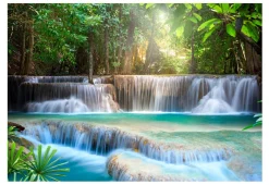 Tapete 'Paradies im Regenwald'