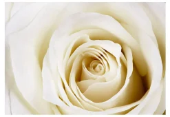 Tapete 'Pearl maze'
