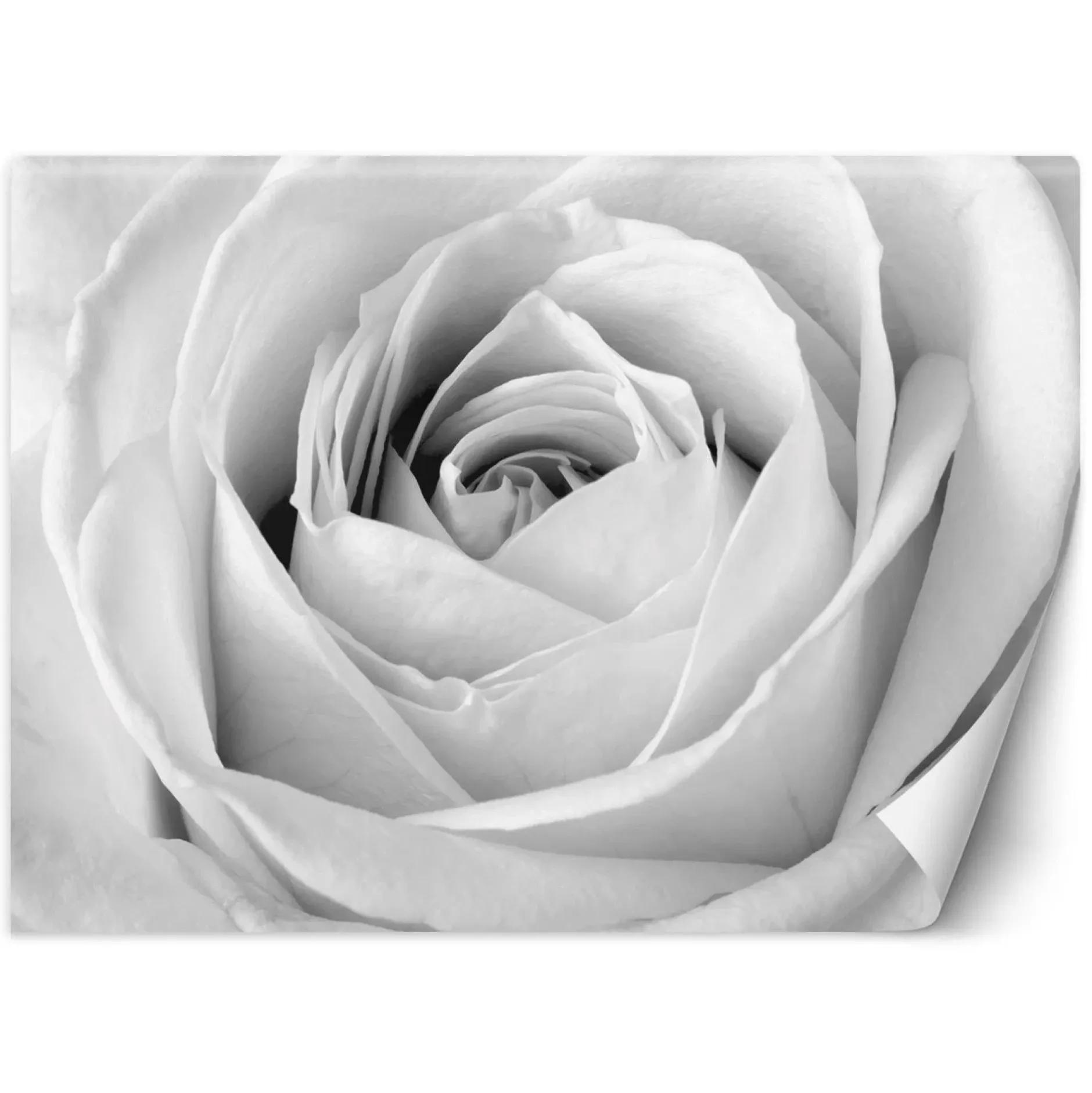 Tapete 'Petal Veil'