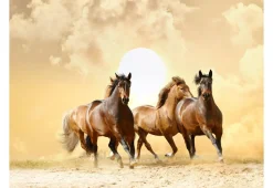 Tapete 'Pferde im Galopp'