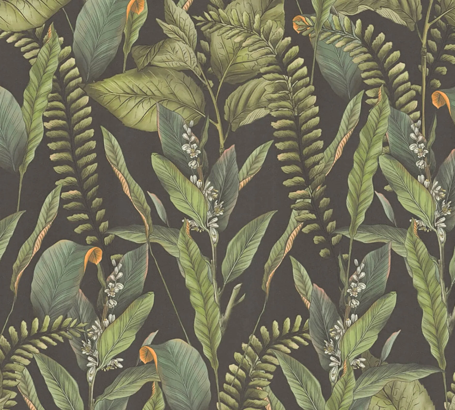 Tapete 'Rainforest Rhythms'