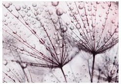 Tapete 'Rainy Time'