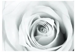 Tapete 'Rose charade'