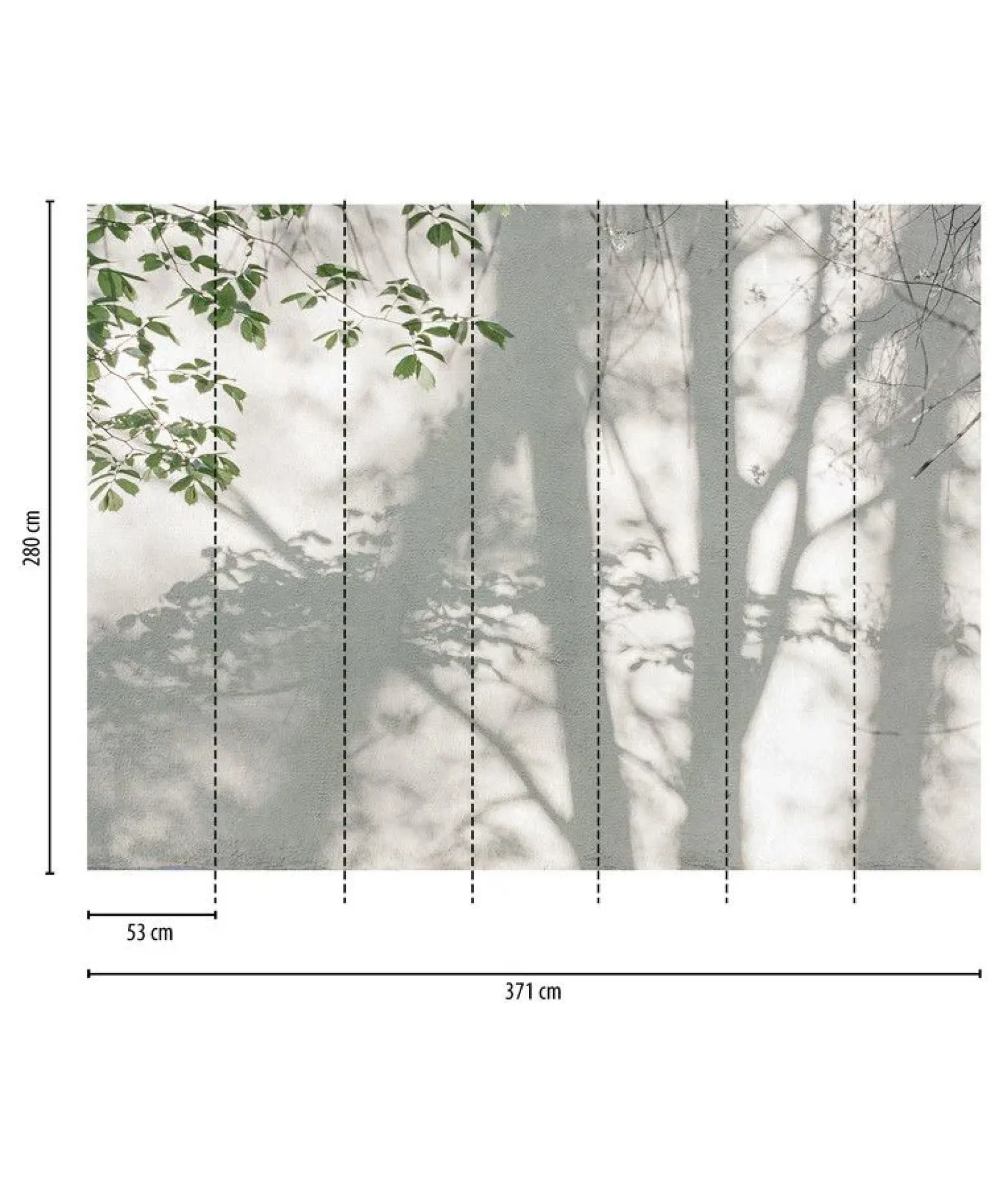 Tapete 'Shadow Leaves' 371x280cm