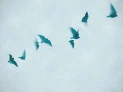 Tapete 'Skyward Flight' 371x280cm