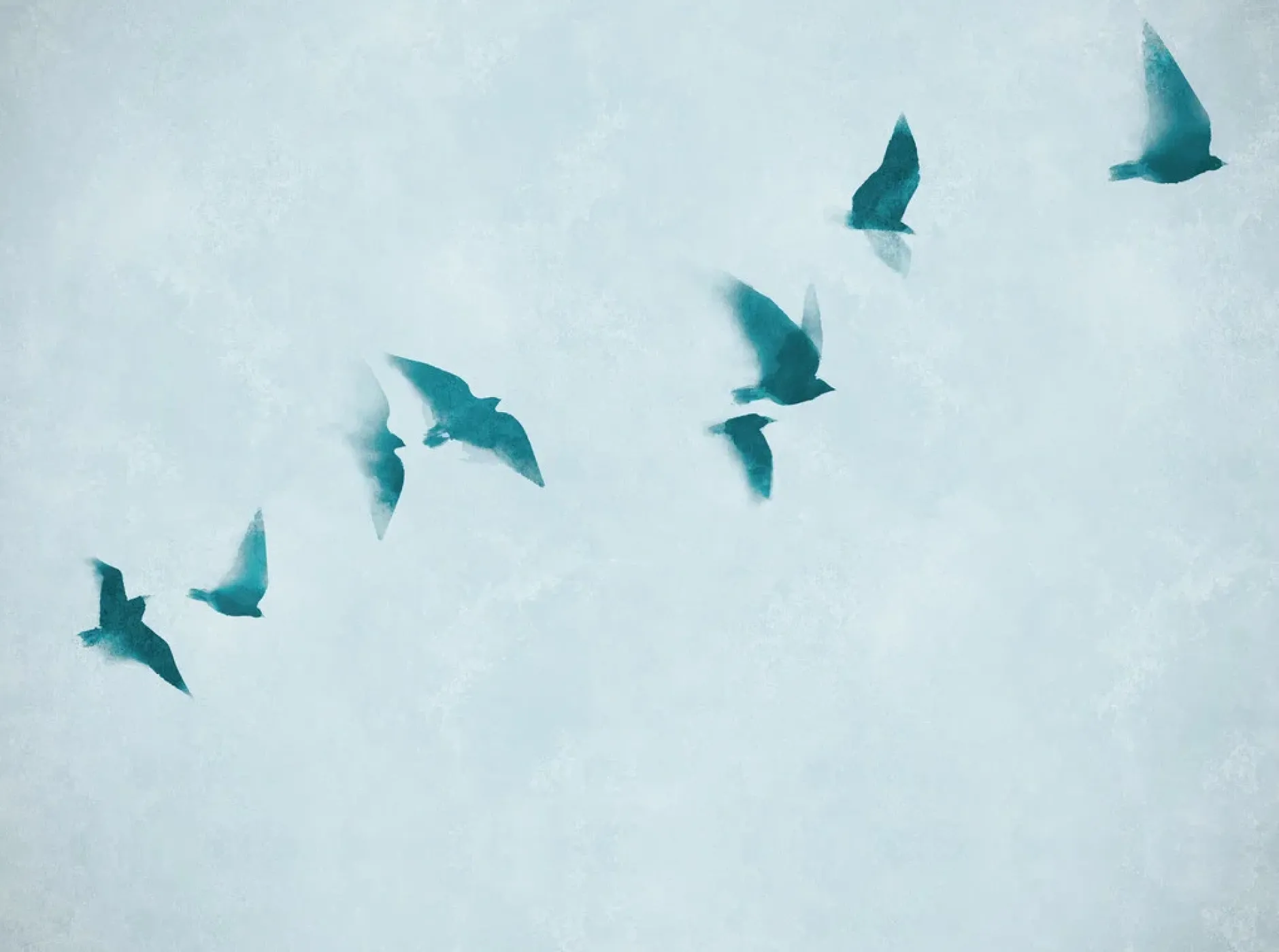 Tapete 'Skyward Flight' 371x280cm