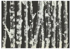 Tapete 'Stately Birches - Second Variant'