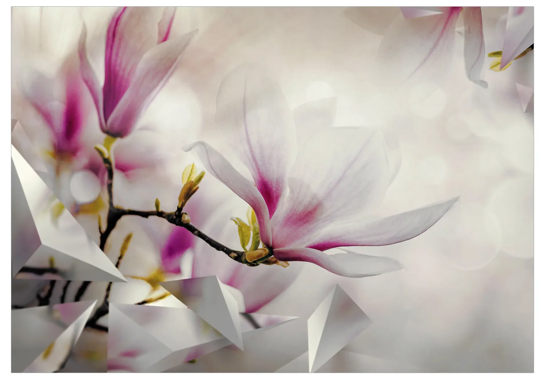 Tapete 'Subtle Magnolias - Third Variant'