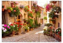 Tapete 'The Alley in Spello (Italy)'
