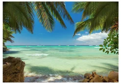 Tapete 'Under Palm Trees'