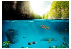 Tapete 'Under the waterline'