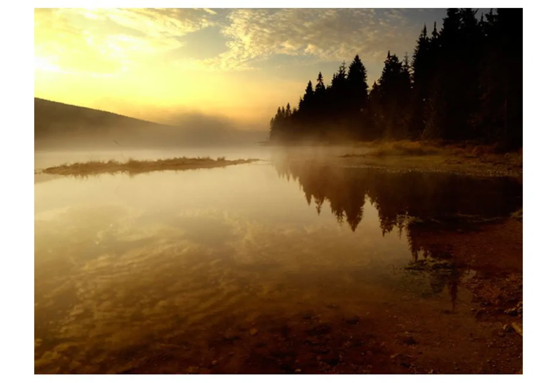 Tapete 'Wald und See'
