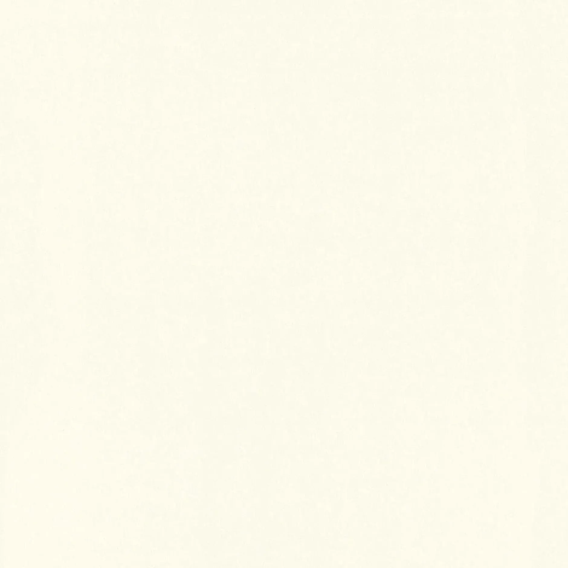 Tapete 'Way of Silence' 53x1005cm
