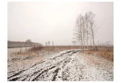 Tapete 'Winter field'